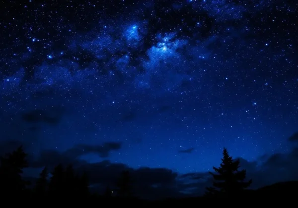 1743152666 67e6661a22dcb